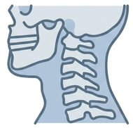 ARI-C Cervical Spine